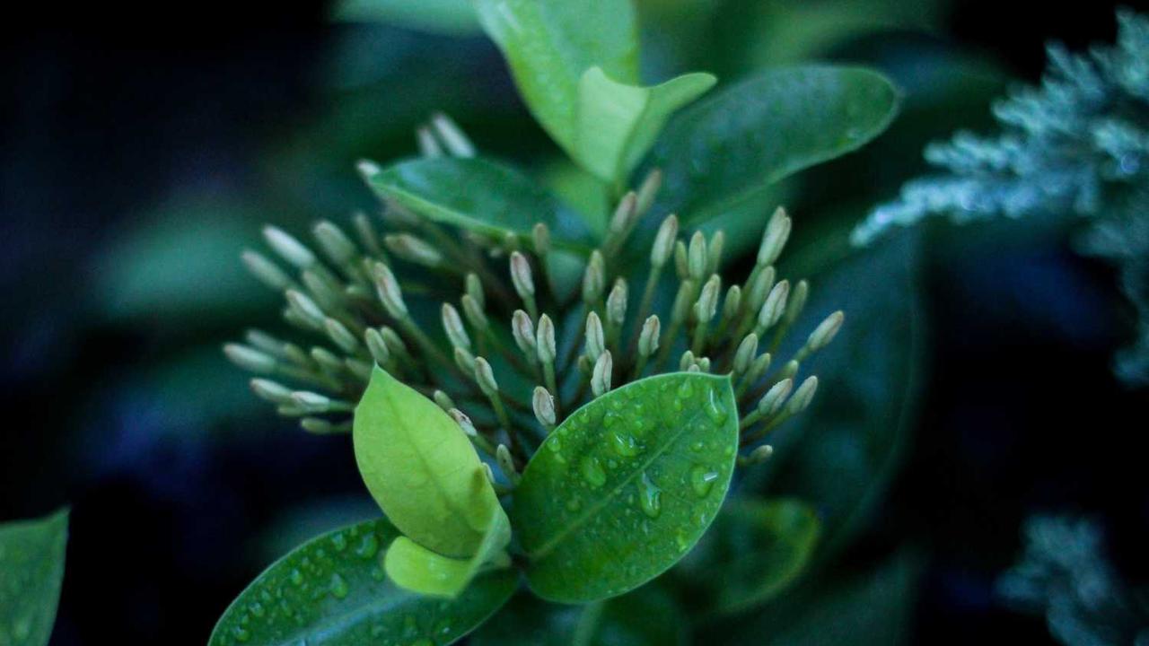 揭秘冒泡网赚的潜在机会与创作者策略-冒泡网