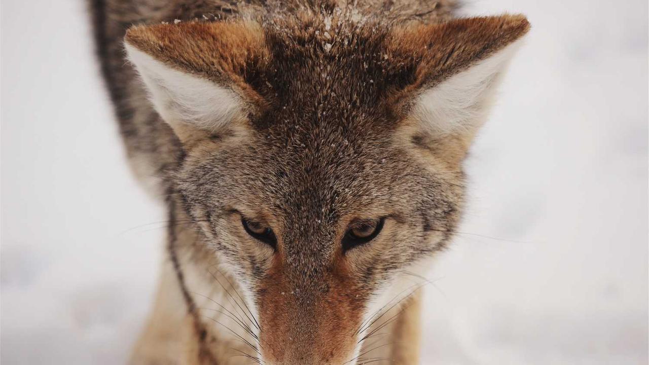 冒泡网创社区：连接创意与价值的新平台-冒泡网