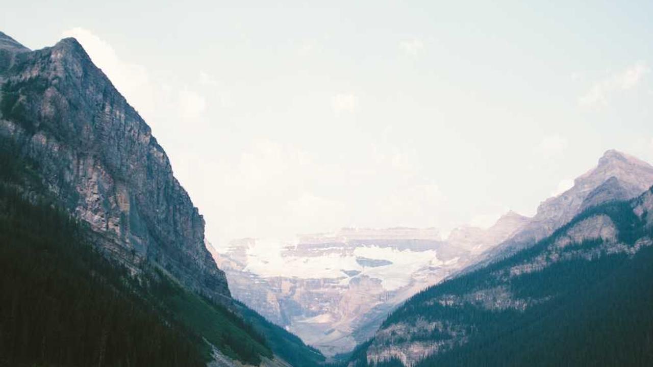 图片[3]-“冒泡社区：赋能创造与交流的全新网络空间”-冒泡网