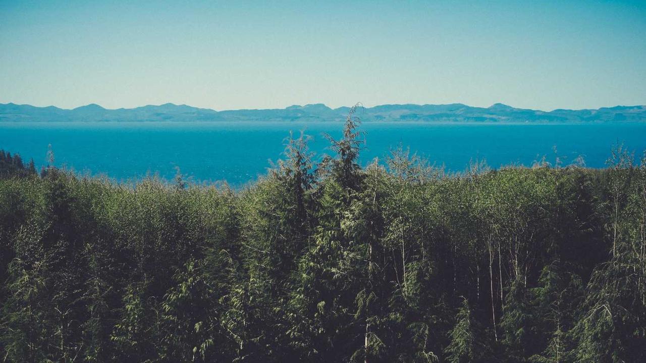 冒泡网创社区：打造数字经济时代的创新交流平台-冒泡网