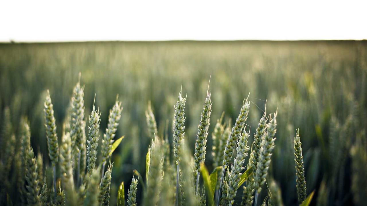 图片[2]-深入探讨冒泡项目社区：在线创收的新机遇与挑战-冒泡网