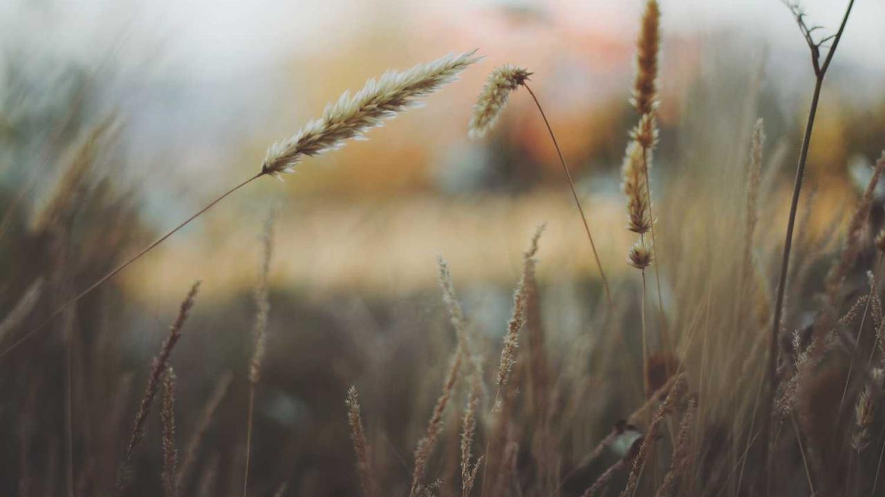 冒泡项目社区：协作创新与资源共享的新模型-冒泡网