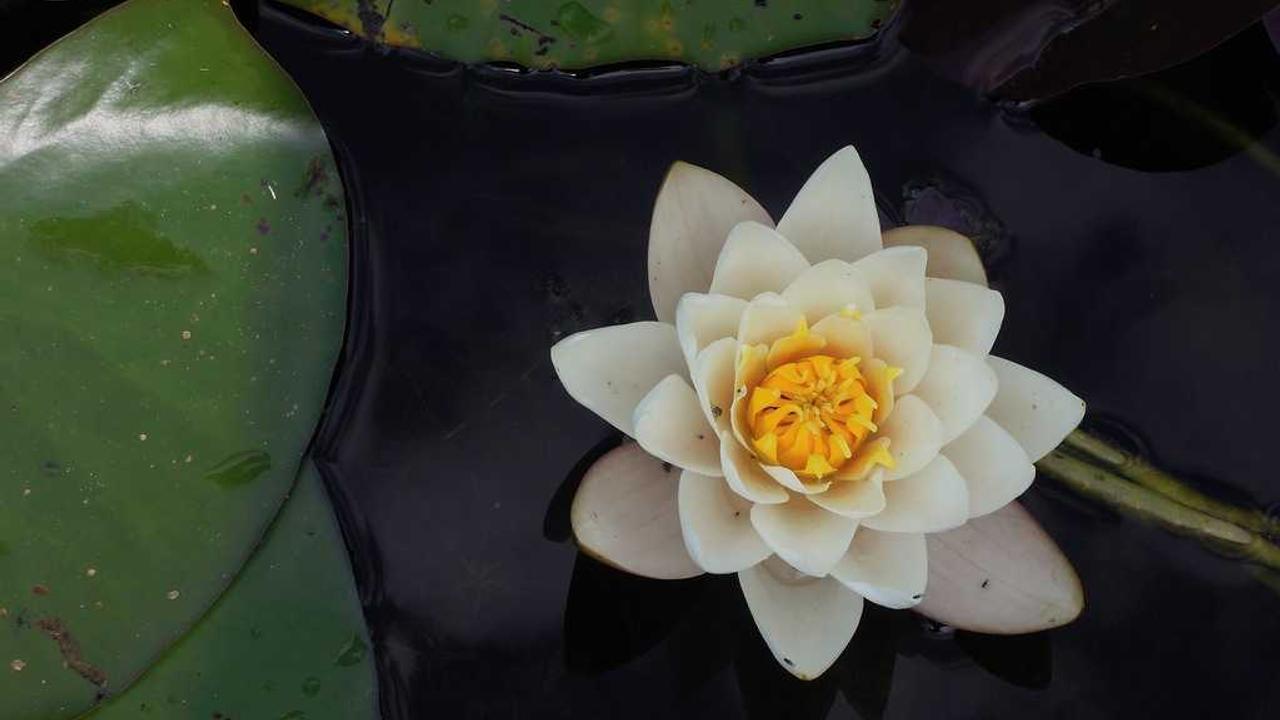 冒泡网：高效在线赚钱的实用策略与技巧分享-冒泡网