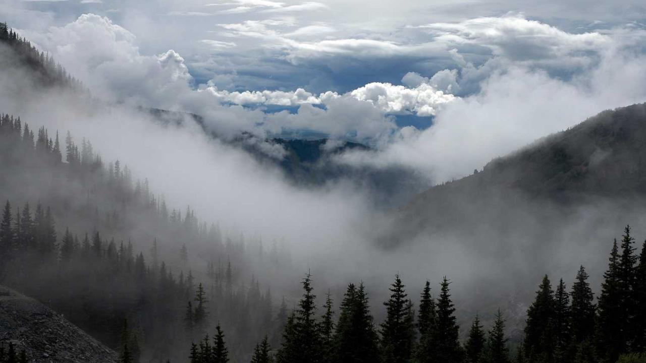 **冒泡网赚：探索在线收益的新方法与策略**-冒泡网