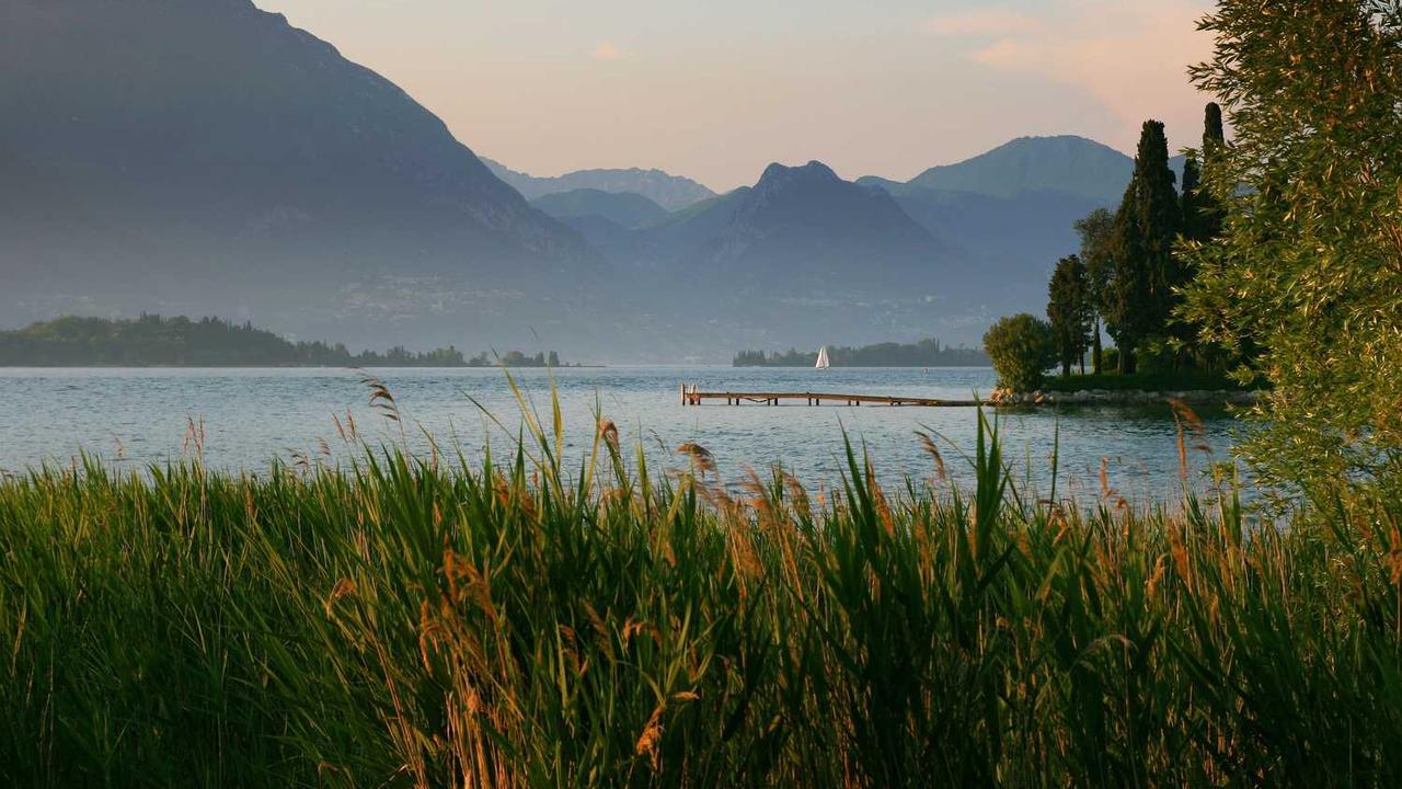 图片[2]-揭秘冒泡网赚的潜规则与持续盈利策略-冒泡网