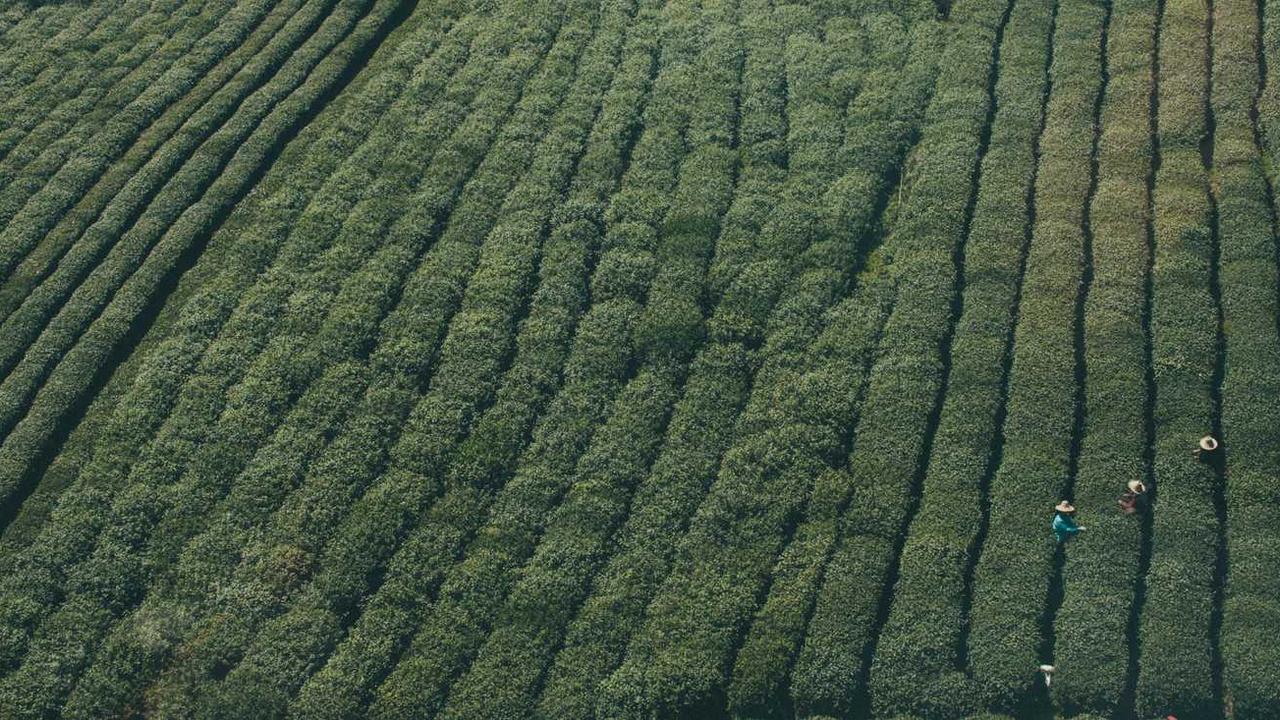 图片[2]-如何通过冒泡网实现快速在线赚钱的全新策略-冒泡网