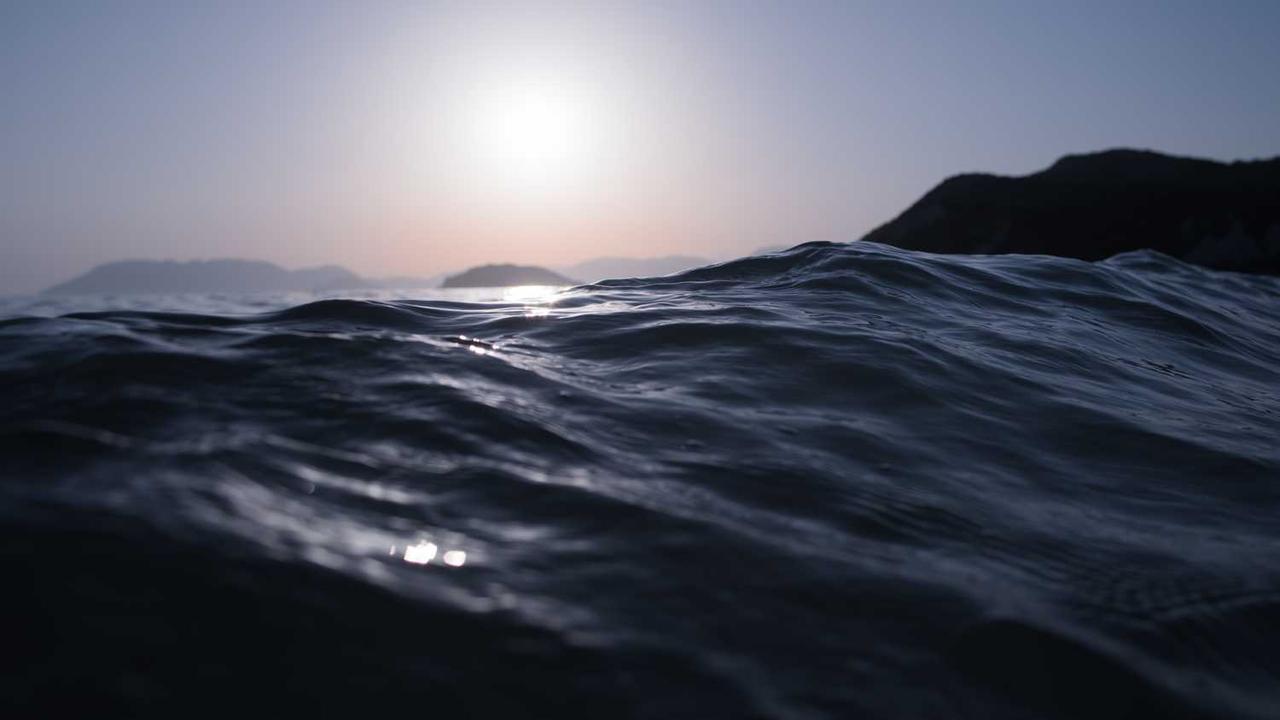 冒泡项目社区：连接创意与合作的创新平台-冒泡网