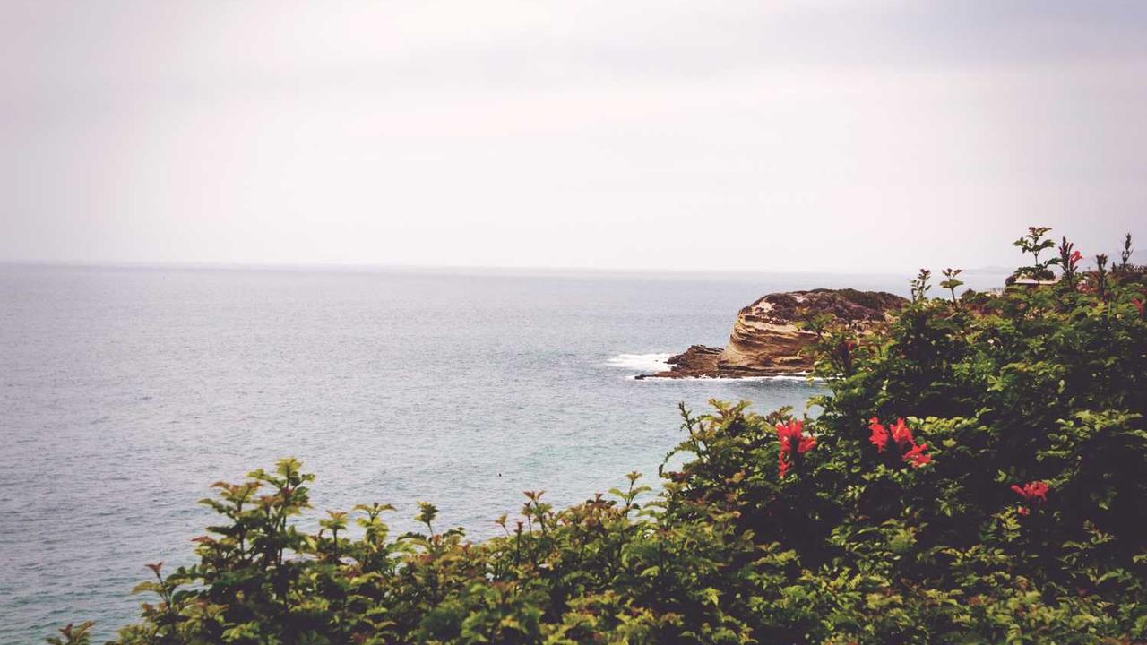 图片[2]-冒泡网创社区：思想碰撞与创意合作的平台-冒泡网