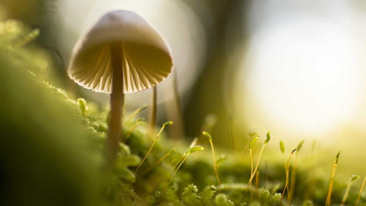 冒泡网创社区：创新合作共赢的新平台-冒泡网