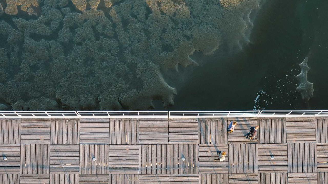 图片[2]-揭秘冒泡网赚的成功策略与实用技巧-冒泡网