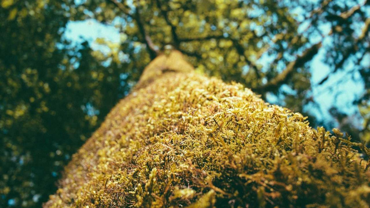 图片[2]-深度解析冒泡网赚的潜力与盈利模式-冒泡网