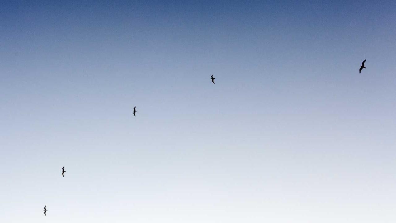 图片[3]-冒泡社区：创新驱动下的协作与发展平台-冒泡网