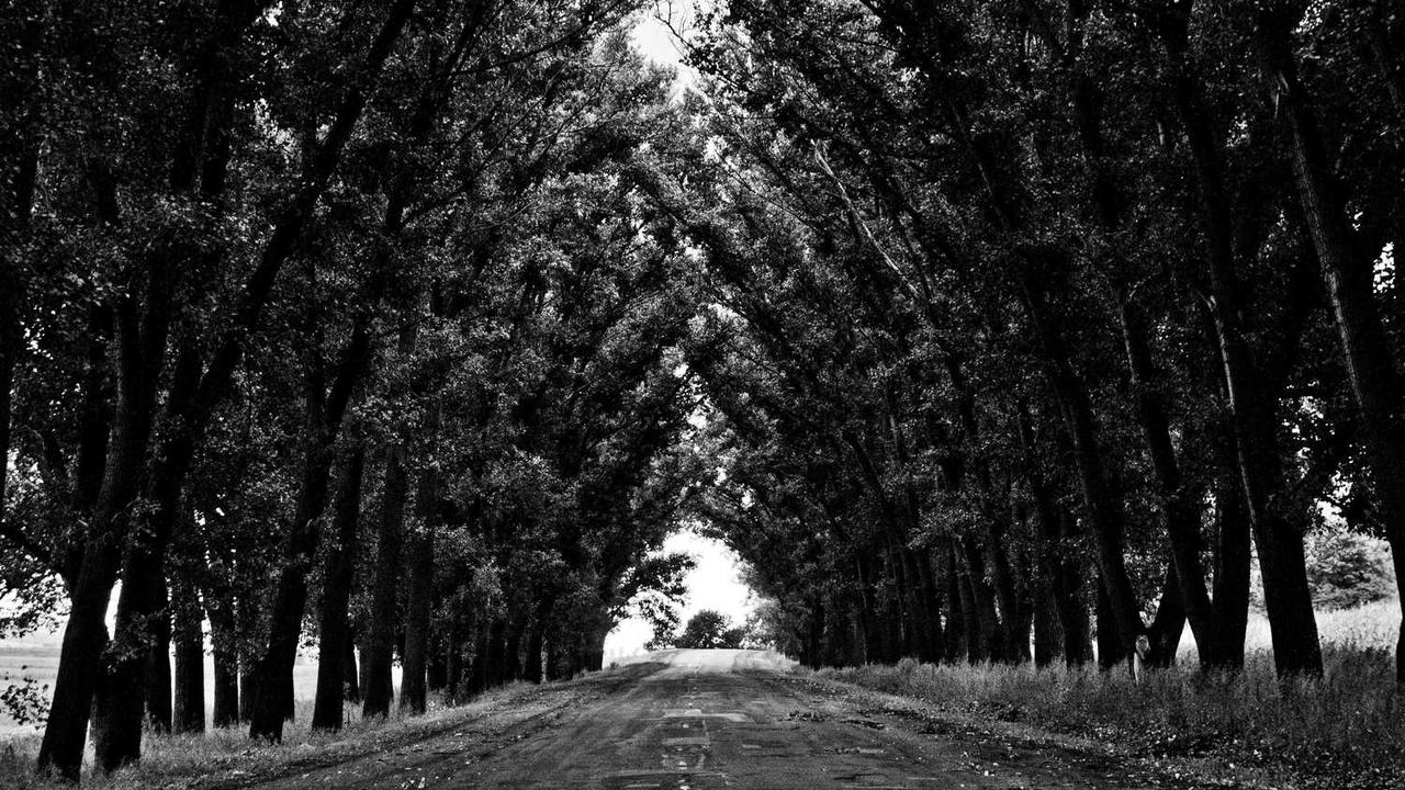 图片[3]-深入解析冒泡网：获取在线收入的全新路径-冒泡网