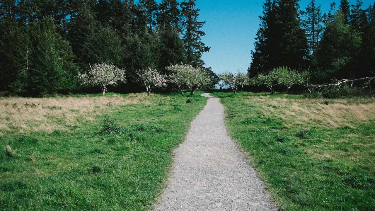 图片[2]-冒泡网赚：解析内容创作与盈利模式的策略与实践-冒泡网