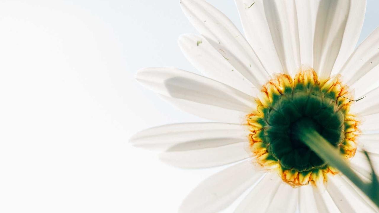 图片[2]-冒泡网赚：创新盈利模式与网络时代的完美结合-冒泡网