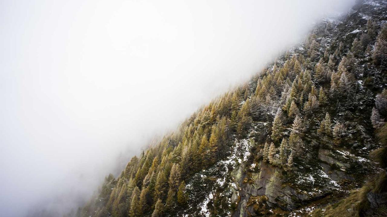 图片[3]-冒泡网创社区：连接创新者与机会的在线平台-冒泡网