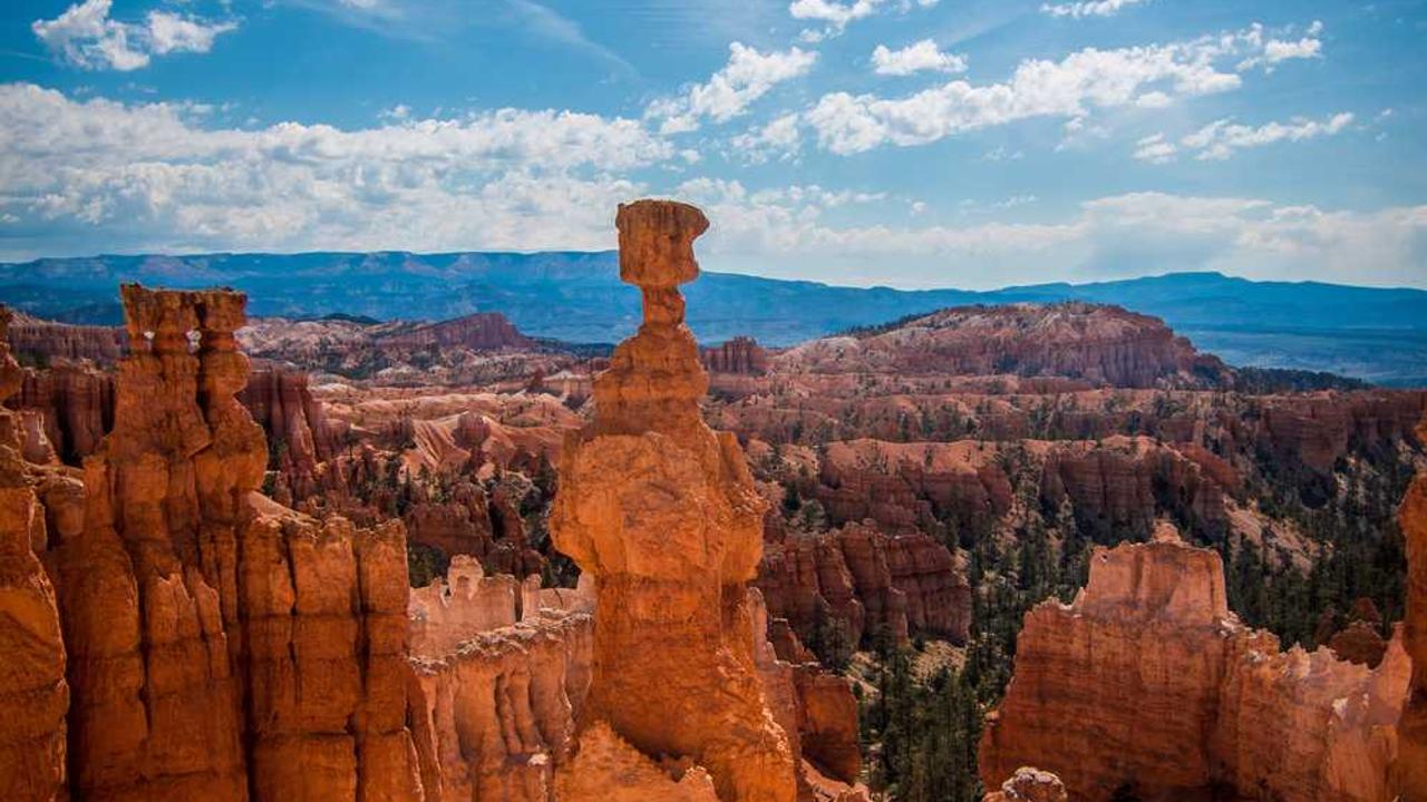 冒泡社区：聚合创意与协作的在线平台-冒泡网