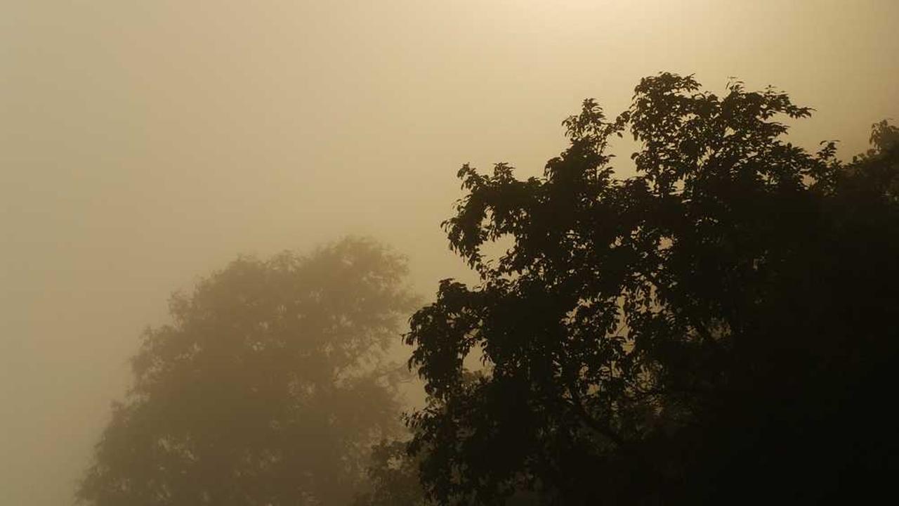 揭秘“冒泡网赚”：新手如何踏上在线盈利之路-冒泡网