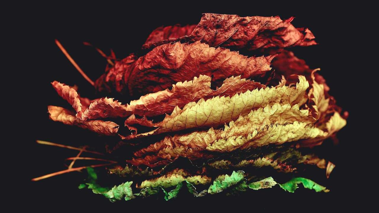 图片[2]-揭秘“冒泡网赚”：新手如何踏上在线盈利之路-冒泡网