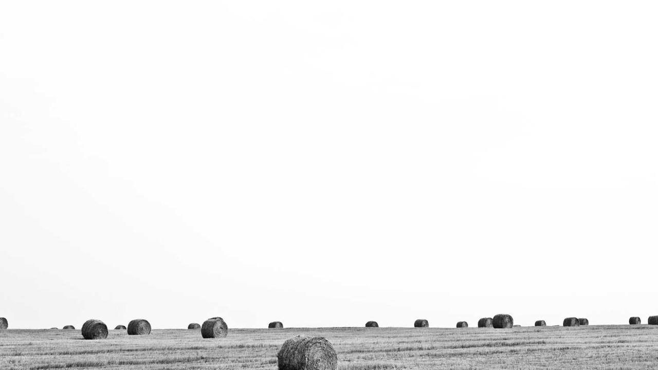 图片[3]-冒泡网赚：掌握新手心得与高级技巧-冒泡网