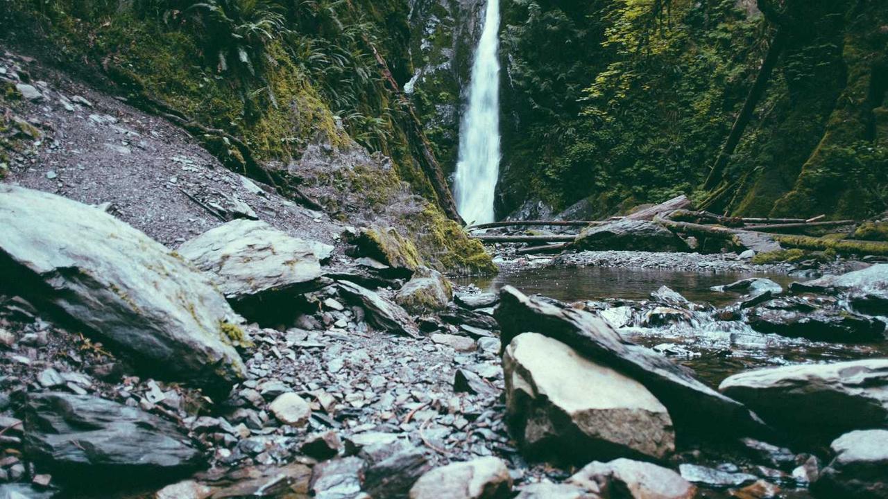 图片[2]-揭秘冒泡网赚的实战技巧与盈利模式探索-冒泡网