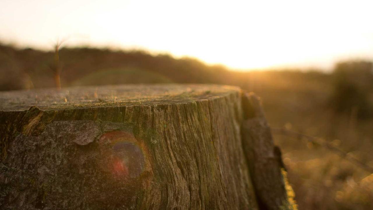 图片[3]-揭秘冒泡网赚：多元化盈利模式与成功策略-冒泡网