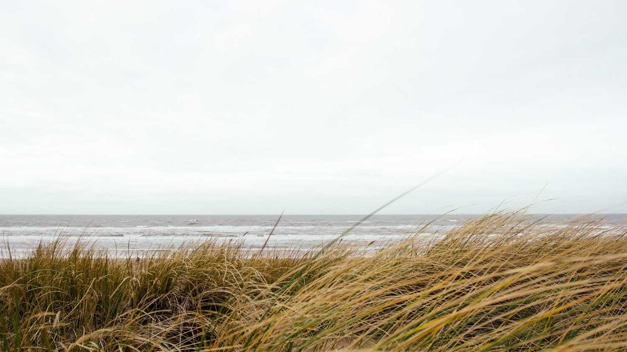 图片[2]-探索冒泡网赚：提升在线收入的新机遇与策略-冒泡网