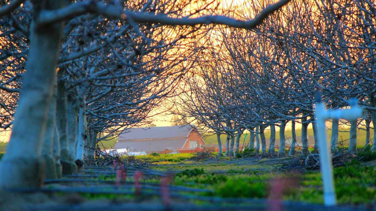 图片[3]-**冒泡网赚：如何利用新兴平台实现稳定收益**-冒泡网