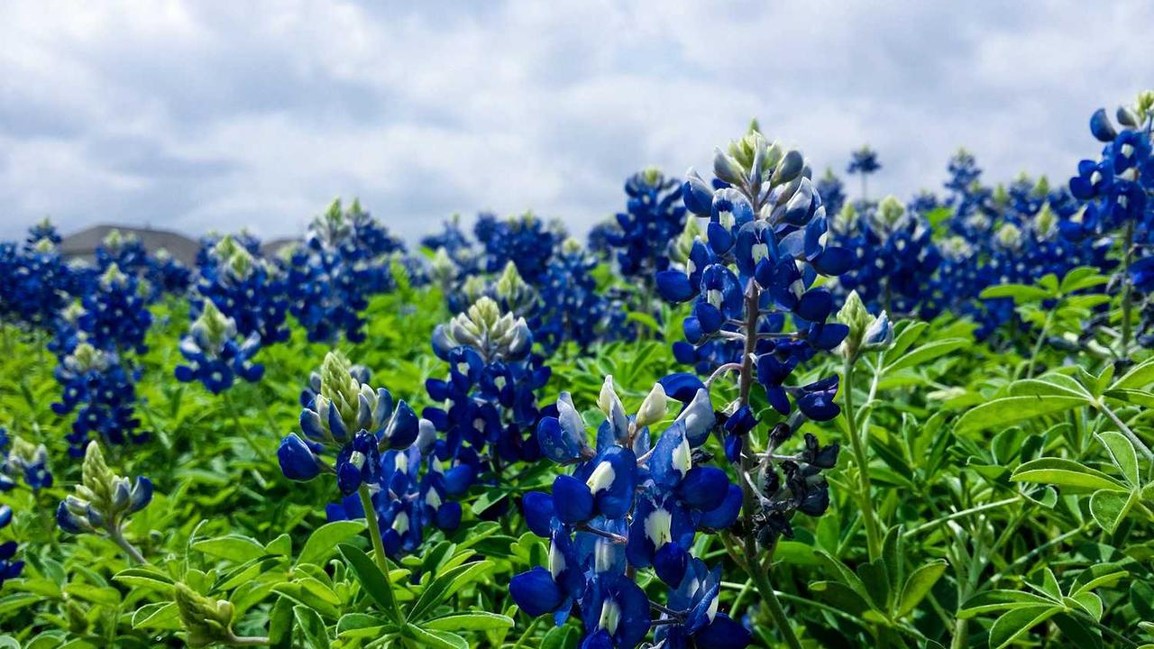 图片[2]-冒泡社区：打造互动与创意的共享空间-冒泡网