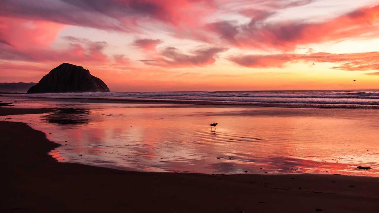 图片[2]-探索冒泡网赚：新型数字经济平台的机遇与挑战-冒泡网