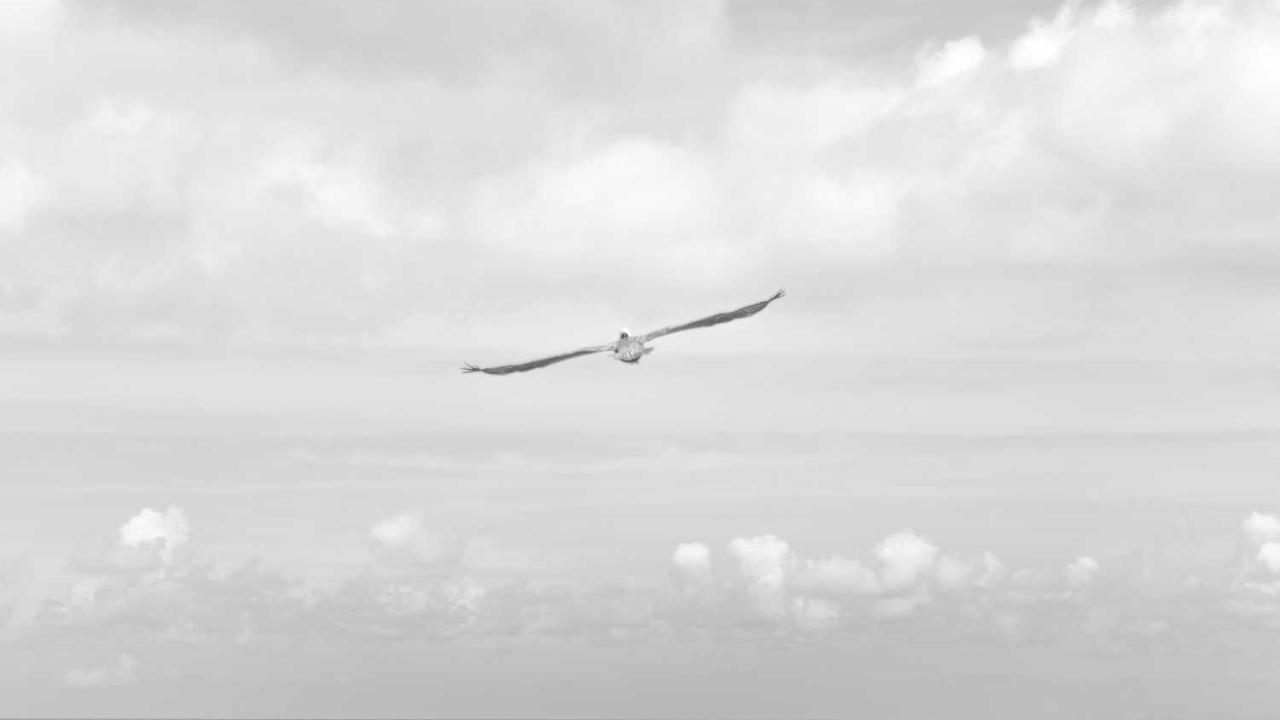 图片[2]-冒泡网创社区：赋能创作者的创新在线平台-冒泡网