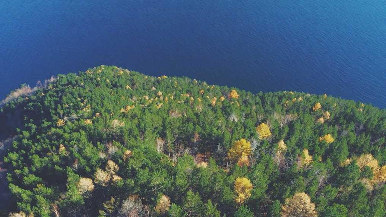 图片[3]-揭秘冒泡网赚的多元化创新路径与机遇-冒泡网