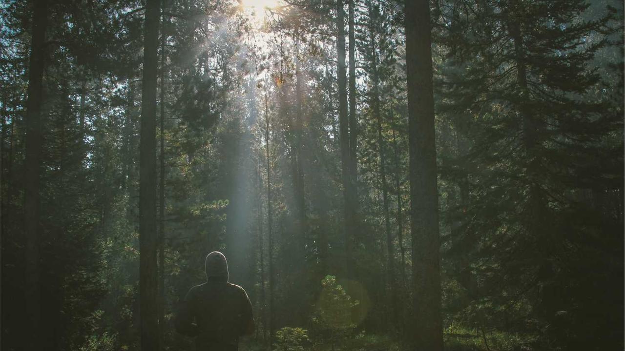 图片[2]-冒泡项目社区：创新与合作的数字交流平台-冒泡网