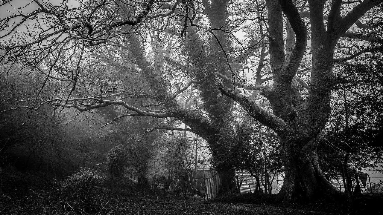 图片[2]-冒泡网赚：网上盈利新方式与机会解析-冒泡网