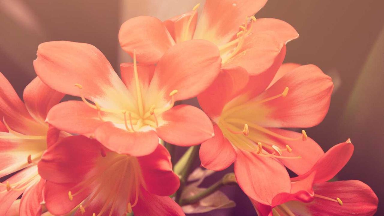 如何通过冒泡网赚取收入：实用技巧与成功案例分析-冒泡网