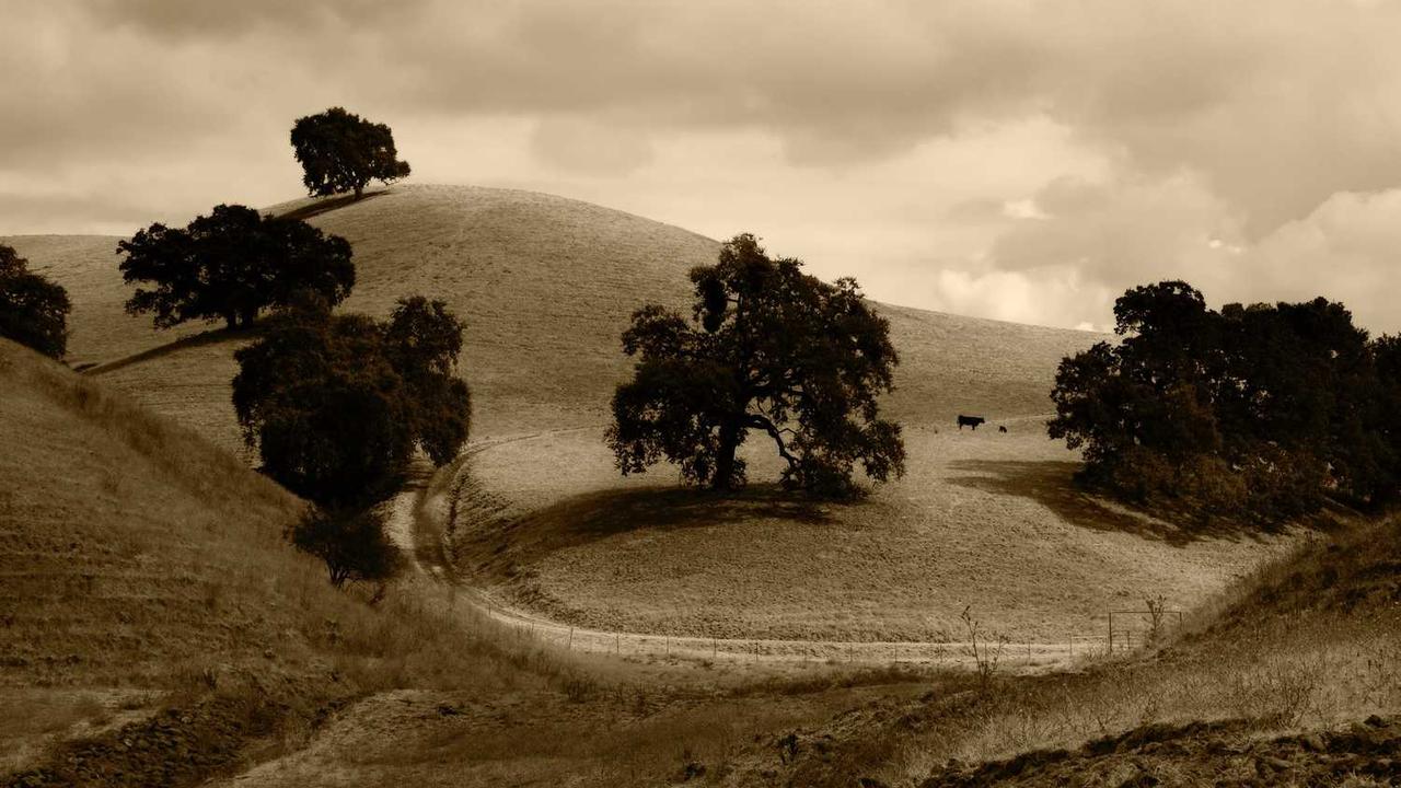 图片[2]-冒泡社区：重塑知识分享与协作的新兴平台-冒泡网