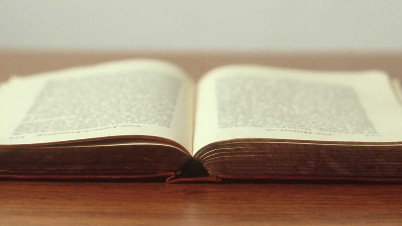 图片[3]-冒泡社区：重塑知识分享与协作的新兴平台-冒泡网