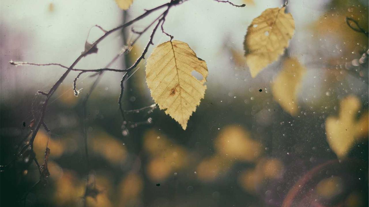 图片[2]-冒泡网赚：发掘在线平台盈利新机遇-冒泡网