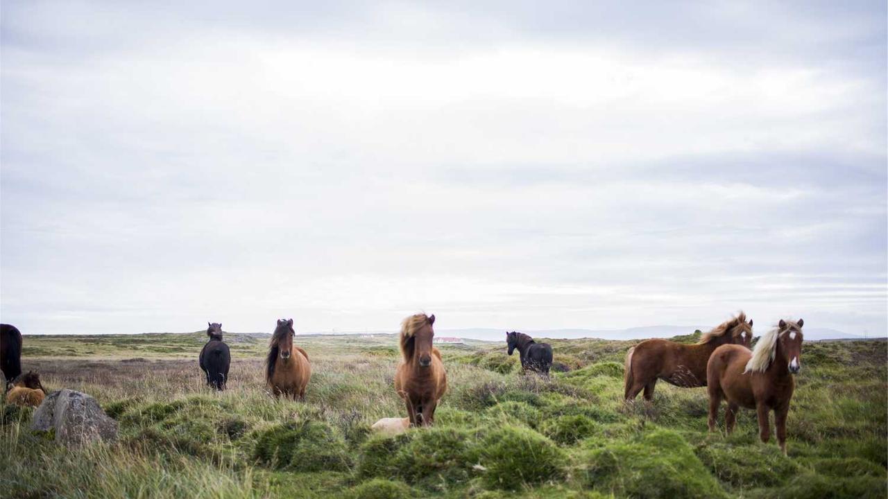 图片[3]-冒泡社区：创新项目与创意的汇聚地-冒泡网