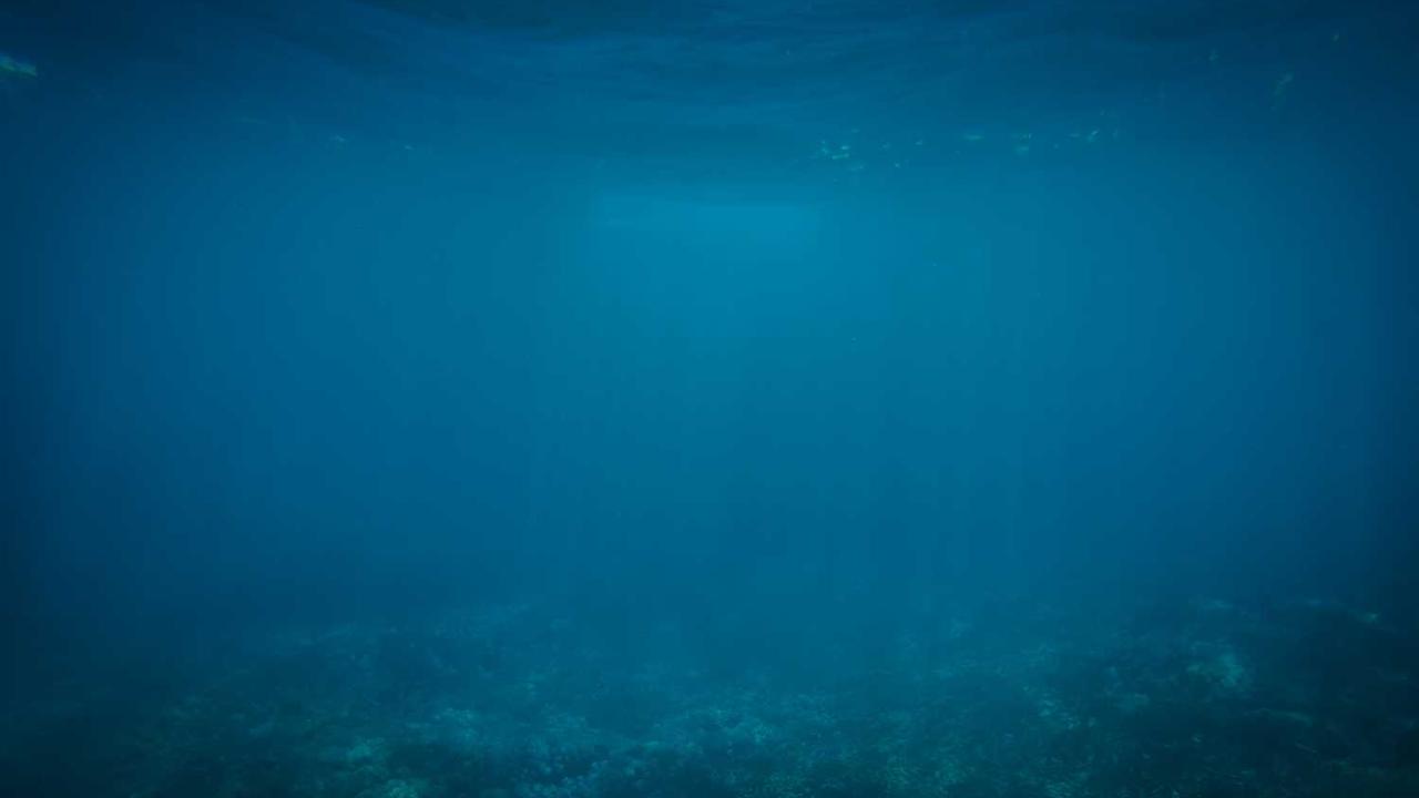 图片[2]-**冒泡网创社区：数字时代的创新与合作平台**-冒泡网