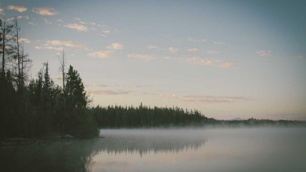 图片[2]-**冒泡社区：聚焦新兴创作者的成长与合作**-冒泡网