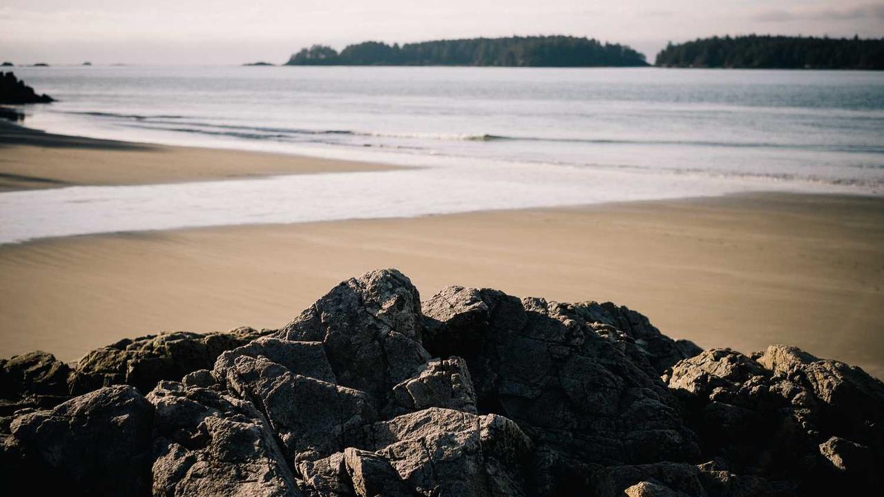 图片[3]-**冒泡社区：聚焦新兴创作者的成长与合作**-冒泡网