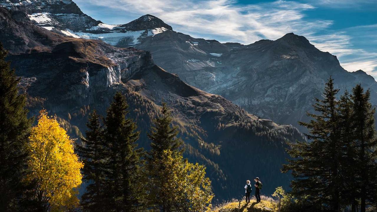 图片[3]-**冒泡网赚：探索数字时代的新收入模式**-冒泡网