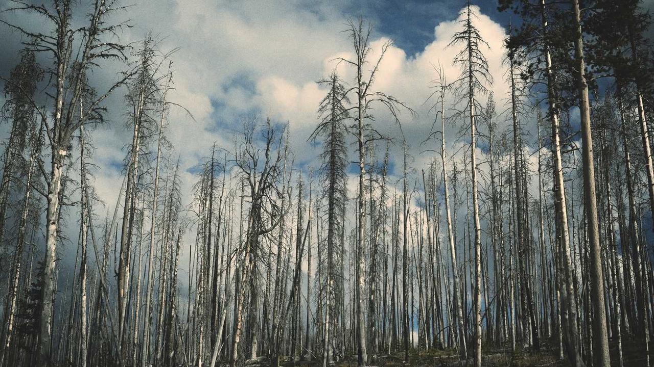 图片[3]-冒泡网创社区：创新与互动驱动在线创作新生态-冒泡网