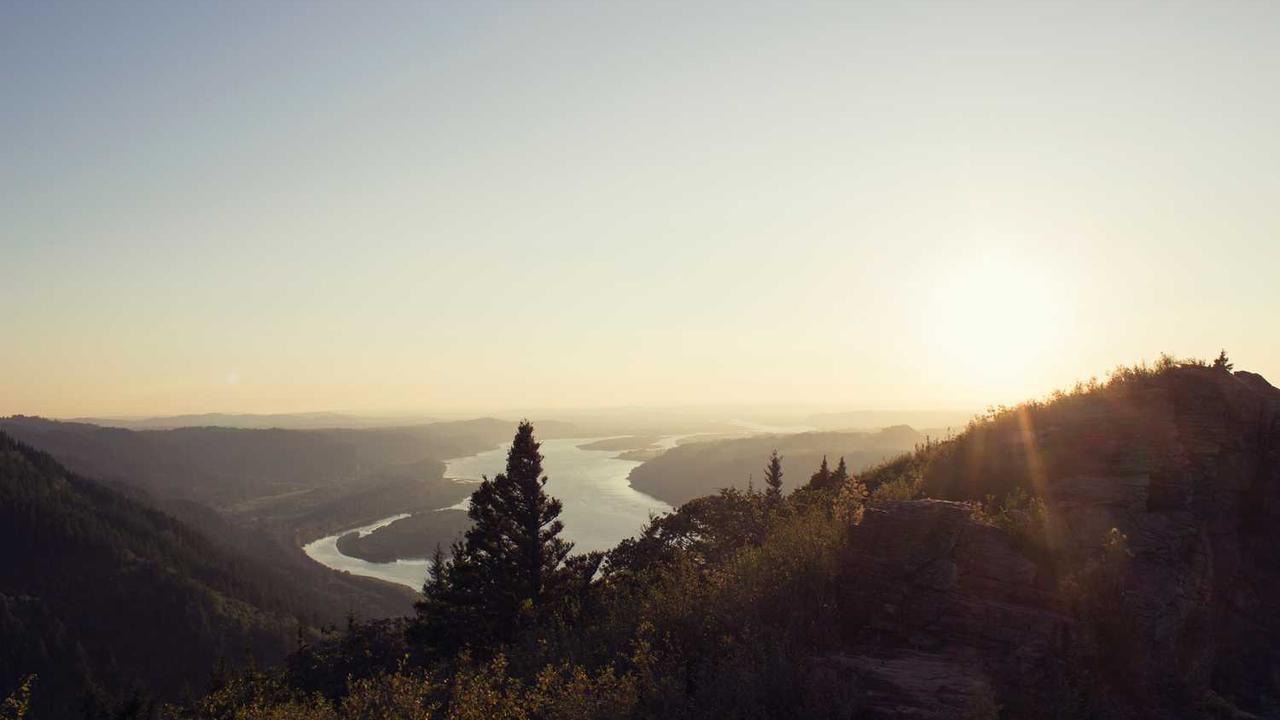 图片[3]-**冒泡网赚：探索新兴线上盈利模式**-冒泡网