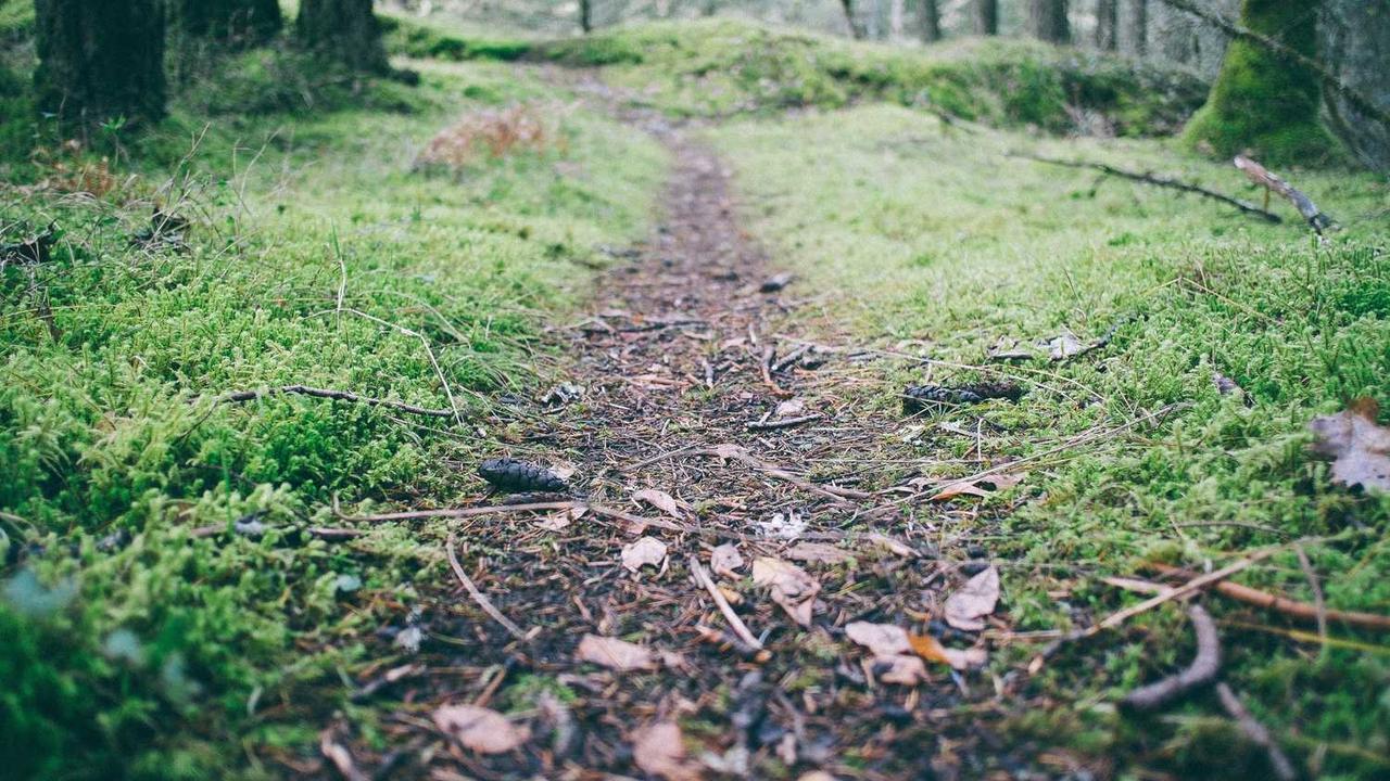 冒泡网创社区：创新与合作驱动的数字创意共享平台-冒泡网