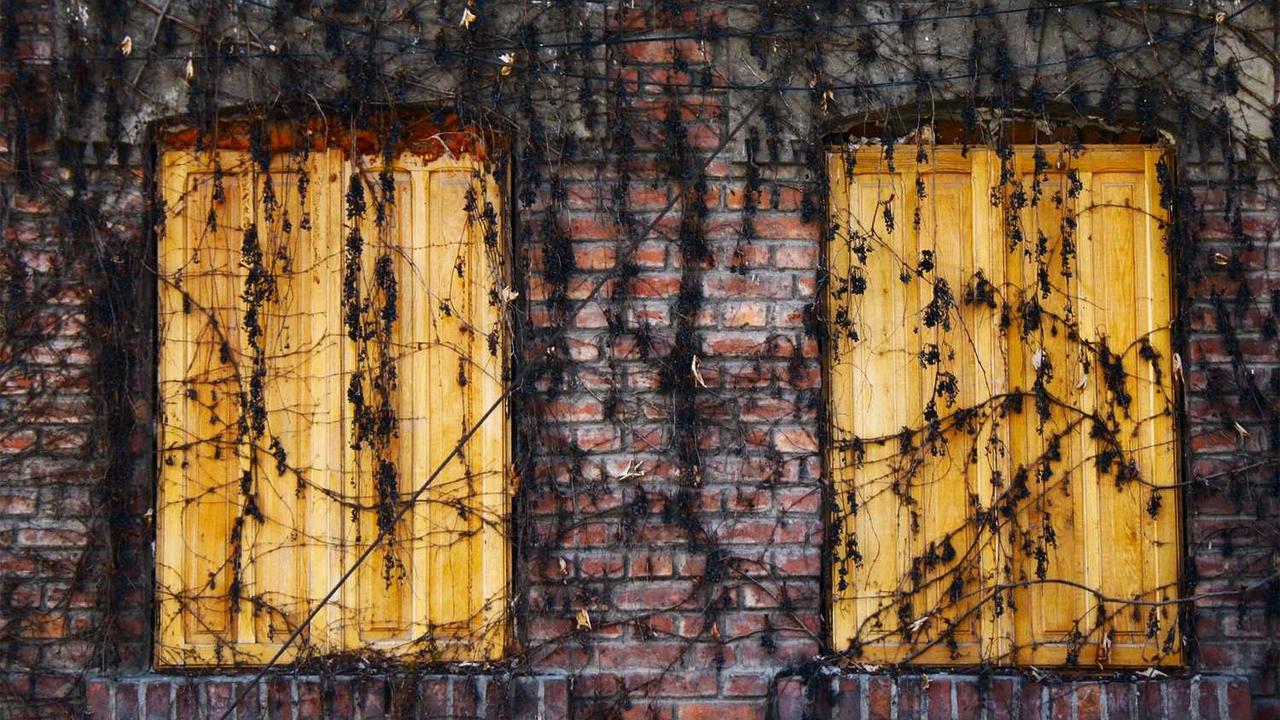 图片[3]-冒泡网创社区：创新与合作驱动的数字创意共享平台-冒泡网