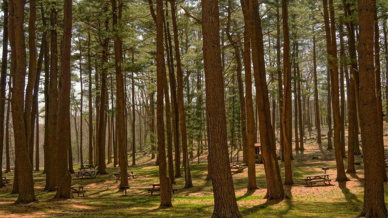 图片[3]-冒泡网赚：深度解析高效在线收入策略与模式-冒泡网