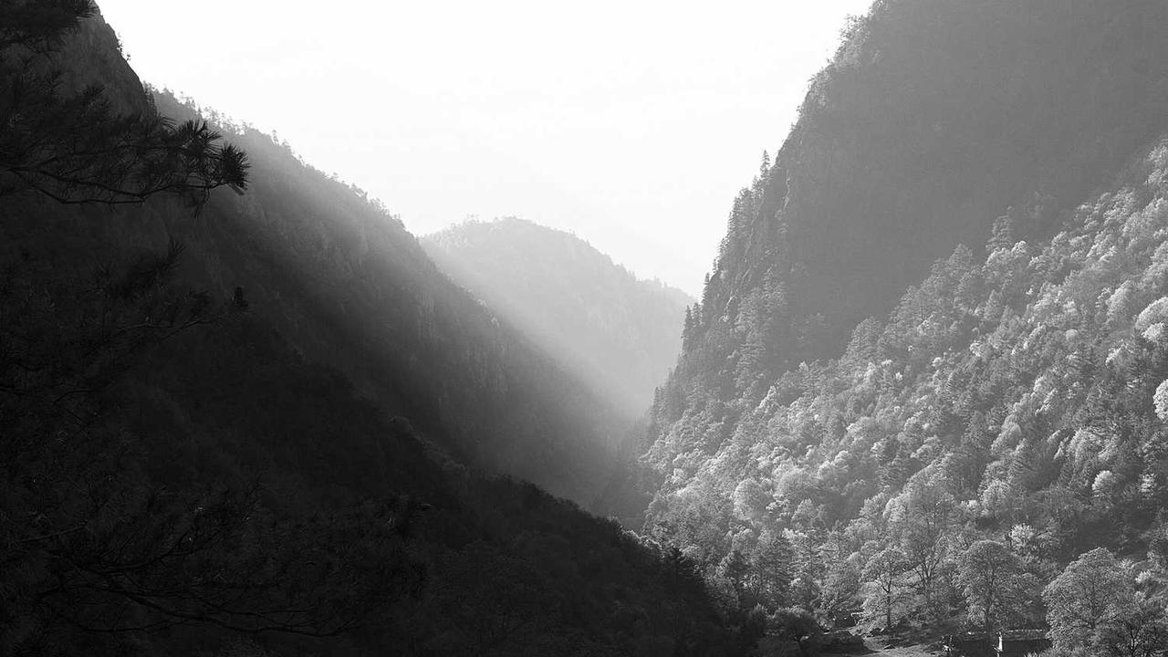 **冒泡网赚：提升收益的实用策略与技巧**-冒泡网