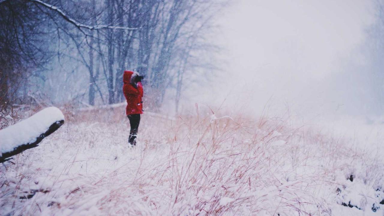 图片[3]-**冒泡网赚：掌握新兴网络盈利模式的秘诀**-冒泡网